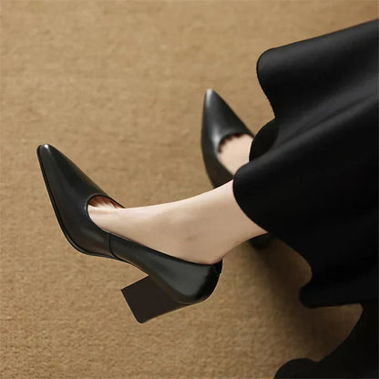 Chic Verona Pumps for Special Occasions
